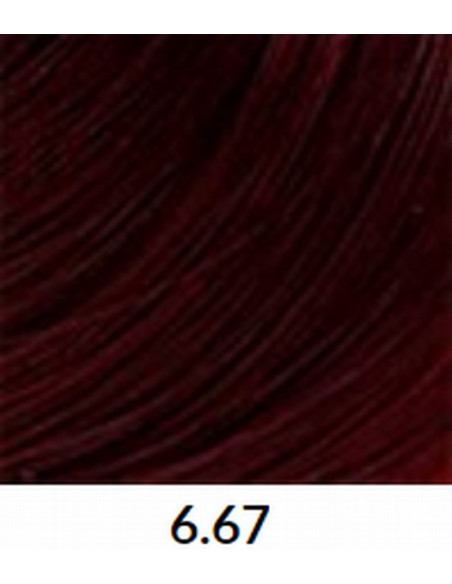 VÄRVILINE TINT 6.67 60ml
