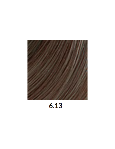 VÄRVILINE TINT 6.13 60ml