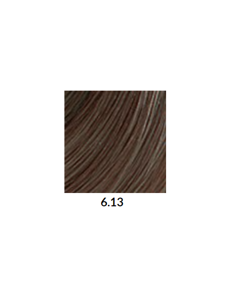 VÄRVILINE TINT 6.13 60ml