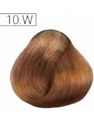 Absoluk püsiv juuksevärv 10W 100ml