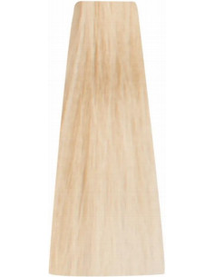 Inebrya BIONIC COLOR 10/0E...