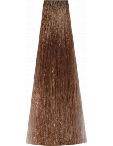 Poolpüsiv värv 8/73 100ml