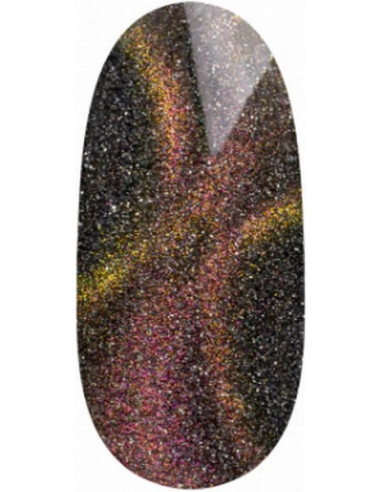Magnetiline UV/LED geellakk - DISCO 50