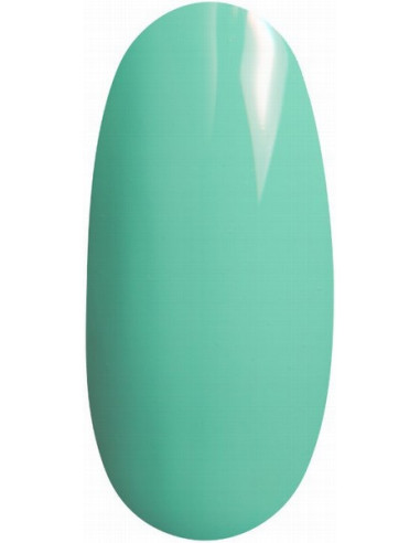 Gel polish UV/LED gēllaka, 12ml 309v