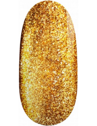 Magnetiline UV/LED geellakk - 10D-13