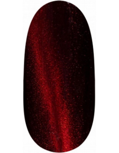 Magnetiline UV/LED geellakk - 704
