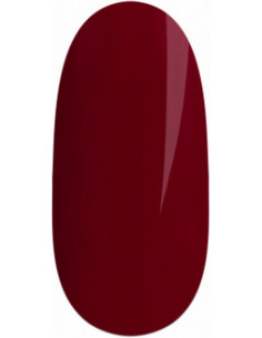 Kiirgeel-lakk LED/UV - 411Q
