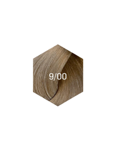 KOLLAAŽI PÜSIVÄRV 9/00