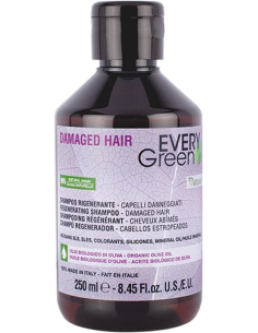 EVERYGREEN TAASKASUTAV...