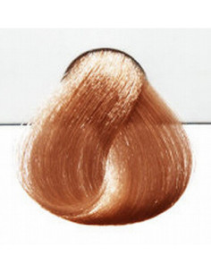 Sensido Nordic matu krāsa...