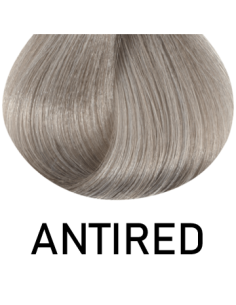 Singularity - PUNASE...